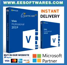 Microsoft Visiot Professional 2019 key