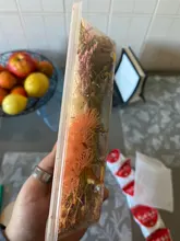 1 caja de hojas de flores prensadas reales, resina de margaritas secas, calcomanías de belleza para uñas, moldes de epoxi, embellecedores para fabricación de joyas