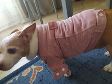 French Bulldog Small Dogs Pugs Winter For Chihuahua Outfit Pink Warm Clothing Roupa Pet-38s2