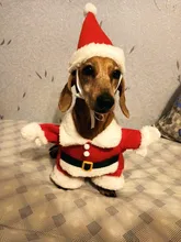 Christmas Pet Dog Cat Costumes Funny Santa Claus Costume For Dogs Cats Winter Warm Dog