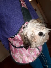 Bolsa de viaje transpirable para mascotas, bolso de hombro de malla Oxford, cómoda, bolso grande de hombro