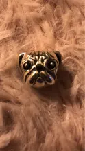 Plata de Ley 925 de un perro historia caniche Cachorro Bulldog Francés perlas encanto Fit BISAER encantos de plata 925 Pulsera Original