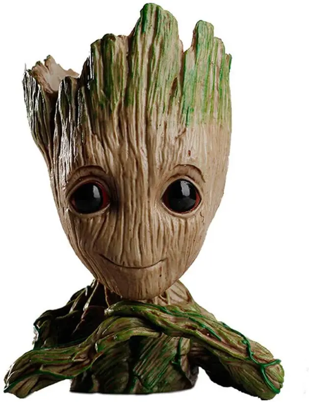 61ZZ2vAXj6L._AC_SL1001_