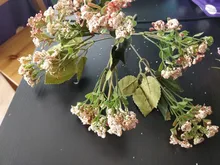 Gypsophila Rose Wedding-Decoration Fake-Flowers Eucalyptus Green-Leaves Flores with 