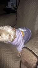 Cute Pet Dog Clothes Puppy sweater T-shirt Shirt Cute Rainbow printing Pajamas Cat 