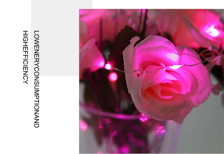 微信截图_20200829120702