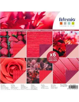 

PACK OF 6 SHEETS FOR CRAFTS OF 30X30 CM PHOTOS WITH NETWORK COLORS