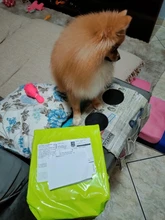 Container Dispenser Water-Level-Display Cats-Drink Dogs Automatic-Water-Feeder Electric