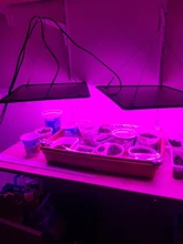 Light-Panel Growth-Light Phyto-Lamp Tent-Plants AC85-240V Eu/Us-Plug 1000w Led Full-Spectrum