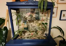 Wallpaper Mural Asian Bedroom Animals Beibehang Living-Room Home-Decor Tv Background