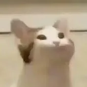 M***i