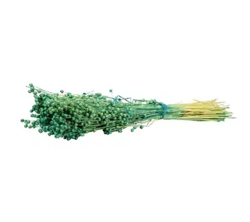 

Dried dry Flower Luna Green