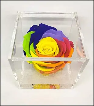 

1800 Cuberose cube pink stabilized Multicolor Rainbow 8cm 8x8x8-the cube with A real rose eternal, lasts longer than 5