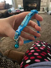 Collar de policarbonato para perros, hebillas ajustables con campana, correa para el cuello, suministros para mascotas, accesorios para perros pequeños, Chihuahua, Bulldogs, 1 unidad