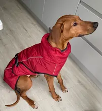 Jackets Dog-Coats Outdoor Winter Pet-Dog Dogs Large Medium for Warm Clothing Kurtka Ubranka