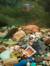 Ornament Decoration-Accessories Aquarium-Decoration Treasure-Box Landscape Sea-Bottom