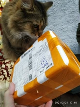 Pond-Food-Feeder-Feeding Aquarium-Timer Automatic-Fish-Feeder with LCD Adjustable