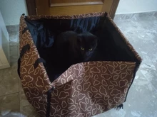 Impermeable para mascotas portadores protector para asiento de coche para perros de hamaca colchón llevar para perros transportin perro autostoel hond bolsa para asiento de coche