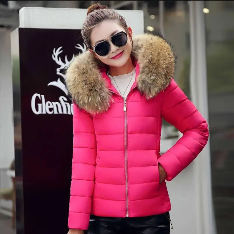 Chaud hiver veste chaud bien coton veste cheveux A capuche vestes femmes manteaux Slim fermeture