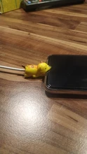 Protector de animales para mordedura de Cable, Cable de carga para Iphone, accesorio de soporte de teléfono con dibujos animados, 1 ud.