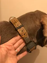 Pet-Id-Tags Dog-Collar-Accessories Dog-Nameplate-Tags Engraved Custom Personalized Small Dogs