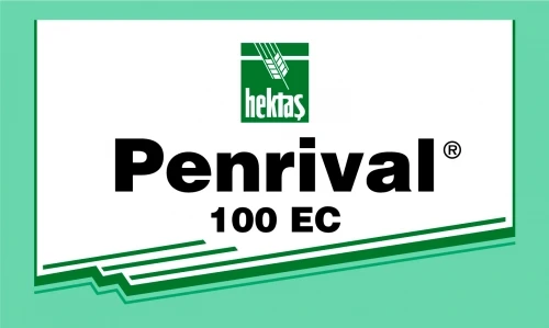 Карандаш Penrival®100 EC 0 1 л | Дом и сад