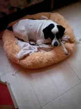 Dog-Bed Bed-House Cushion Nest Pet-Product-Accessories Dogs Warm Plush Large Super-Soft