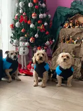 Coat Jacket Puppy-Vest Dogs Waterproof Winter Medium Pet-Dog Zipper Small Large Warm