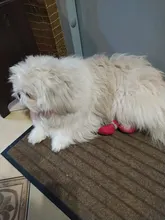 4 unids/set de algodón lindo caucho zapatos para perros impermeable antideslizante perro lluvia botas de nieve calcetines para perros grandes pequeños perros, gatos,