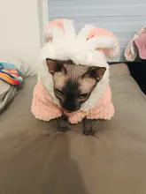 Cute Rabbit Design Dog Hoodie Winter Pet Dog Clothes For Dogs Coat Jacket Cotton Ropa