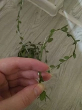 Tiny leaf garland fairy light decor LED Copper Wire string lights for Wedding forest