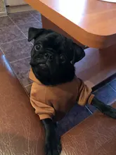 Ropa para perros pequeños ropa de abrigo para perros ropa para cachorros ropa para mascotas para perros grandes sudaderas Chihuahua 45