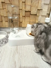 Pet-Supply Dish-Bowls Raised-Stand Pet-Cat-Bowl Water-Dispenser Drinking Automatic Dog