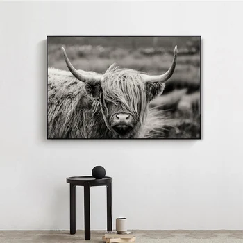 

Scottish Highland Catt Cow Yak Animal Poster Wall Art Canvas Paintings Prints Pictures on Canvas for Living Room Home Decorative