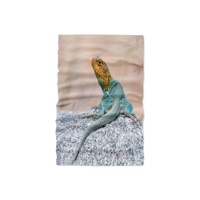 Image 14