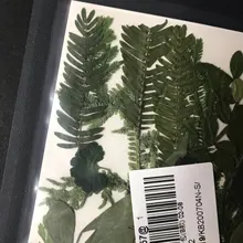 Bolsa de flores secas arte Floral molde de resina Epoxy