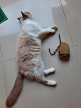 Bolsa de nailon 1000D para exteriores, bolsa de bolsillo para walkie-talkie de Radio, deportes tácticos, Molle