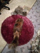 Round Rug Carpets Living-Room-Decor Modern-Mats Bedroom Faux-Fur Fluffy Shaggy-Area Long