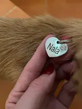 Dog-Collar Engraved Name-Tag Braided Dog Puppy Dogs Small Personalized Free-Bell 