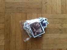 Bungo Stray-pegatinas de perros de PVC para niños, pegatinas de grafitis, maletas, equipaje, guitarra, coche, impermeable, 10/100 Uds.