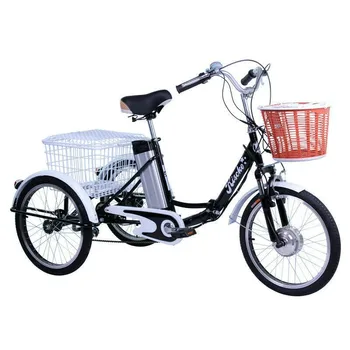 

Adult electric tricycle with baskets