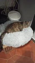 Cama de Gato supersuave, 14 colores, redonda, mullidas de gato, cesta para dormir, larga felpa, cálida, alfombrilla para mascotas, perrera ligera de tacto cómodo