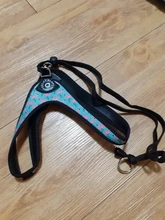 Seat-Belt Harnesses Stunt Puppy Bull Small-Pet Terrier Printed Dogs Chihuahua Shih Tzu