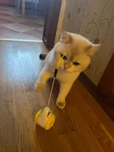 Vaso Swing juguetes para gatos gato interactivo equilibrio coche gato juguete de persecución con Catnip para mascotas productos para Dropshipping. Exclusivo.