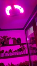 Indoor E27 Led 400W Grow Light Panel Full Spectrum Phyto Lamp For Flowers E26 Lamp For