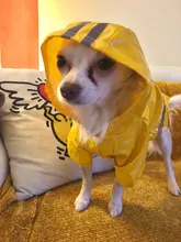 S-XL de ropa para perros chubasqueros con capucha, tira reflectante, abrigo de lluvia para perros, chaquetas impermeables, ropa transpirable para exteriores para cachorros