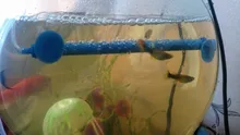 Oxygen-Pump Bubble-Bar Sand-Stone Aquarium Fish-Tank Fresh