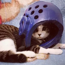 А***а