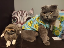 Ropa con estampado de patos para perros pequeños, Camiseta de algodón para cachorros y gatos, chaleco, camisas con perro Chihuahua