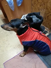 Coat Pet-Dog-Jacket Dogs French Bulldog Waterproof Chihuahua Winter Puppy-Vest Small